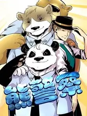 综艺城市打烊后详情卡封面